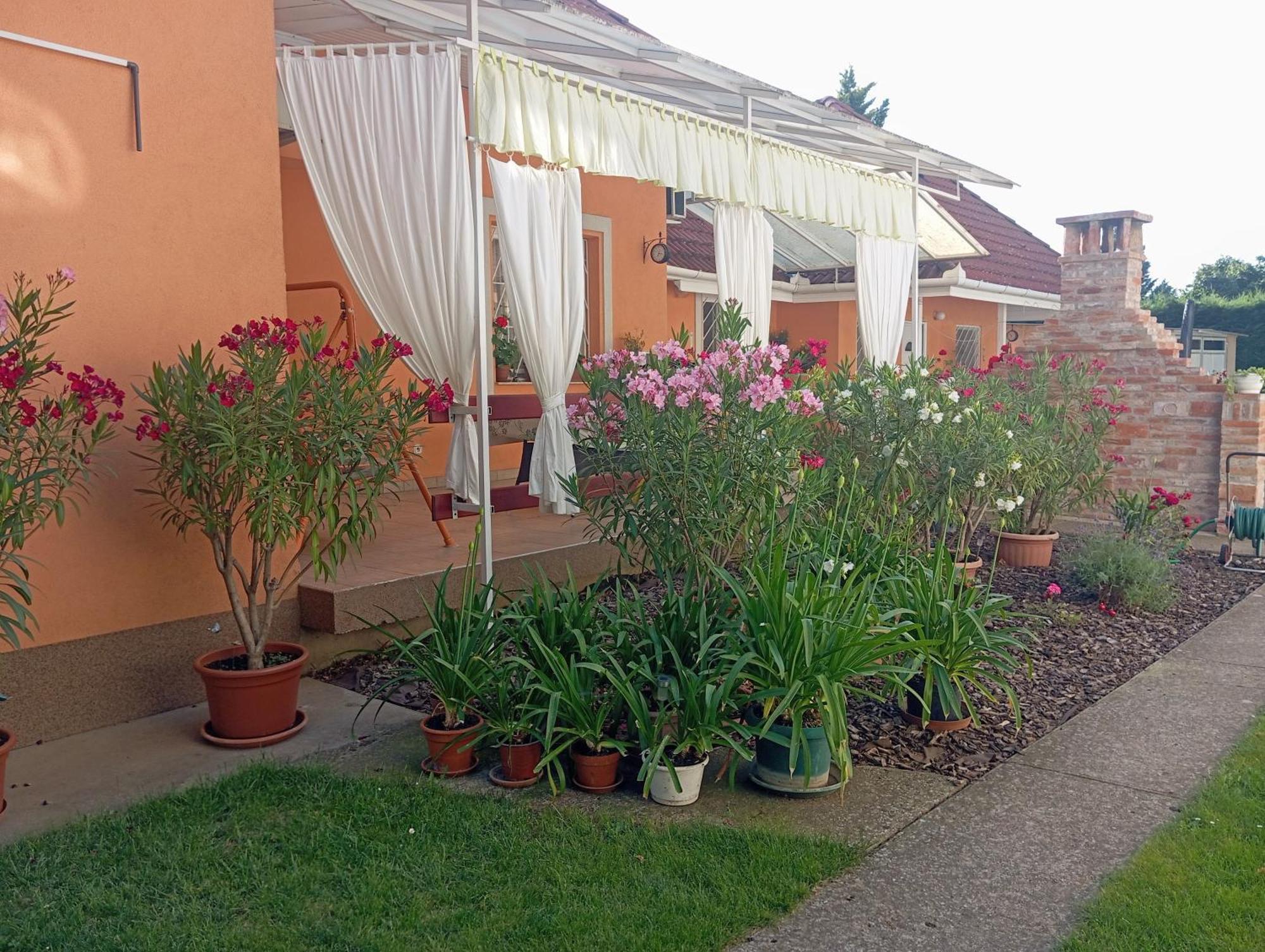 Marika Apartman Hajdúszoboszló Esterno foto