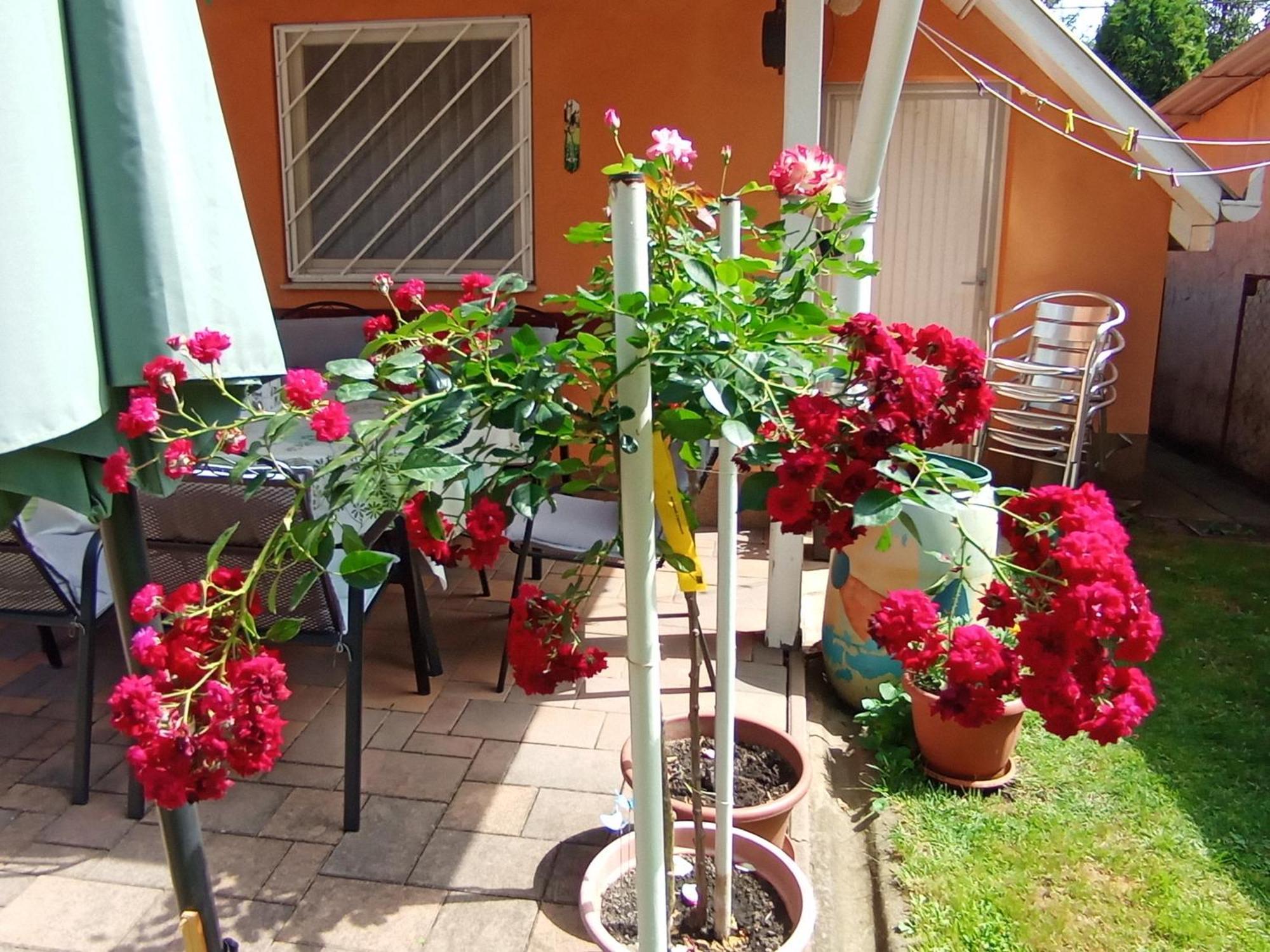 Marika Apartman Hajdúszoboszló Esterno foto