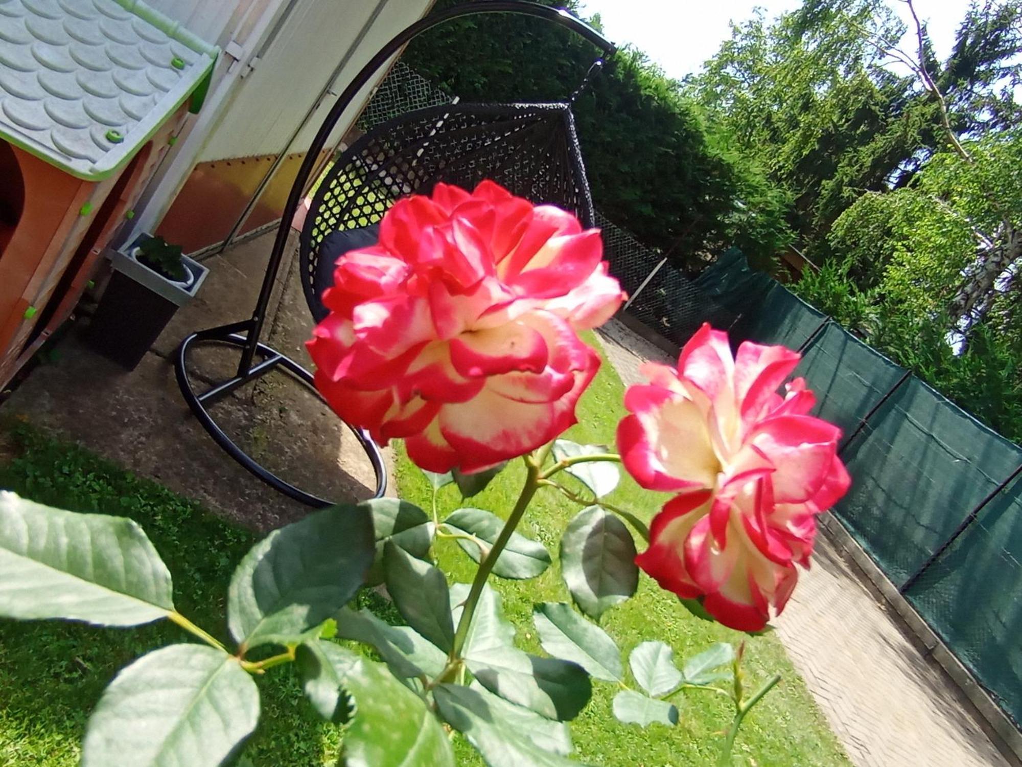 Marika Apartman Hajdúszoboszló Esterno foto